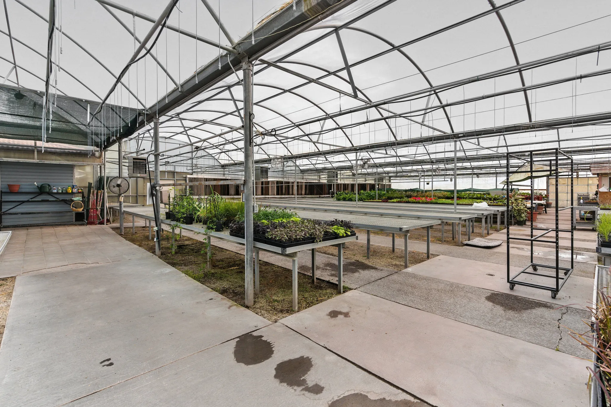 main green house
