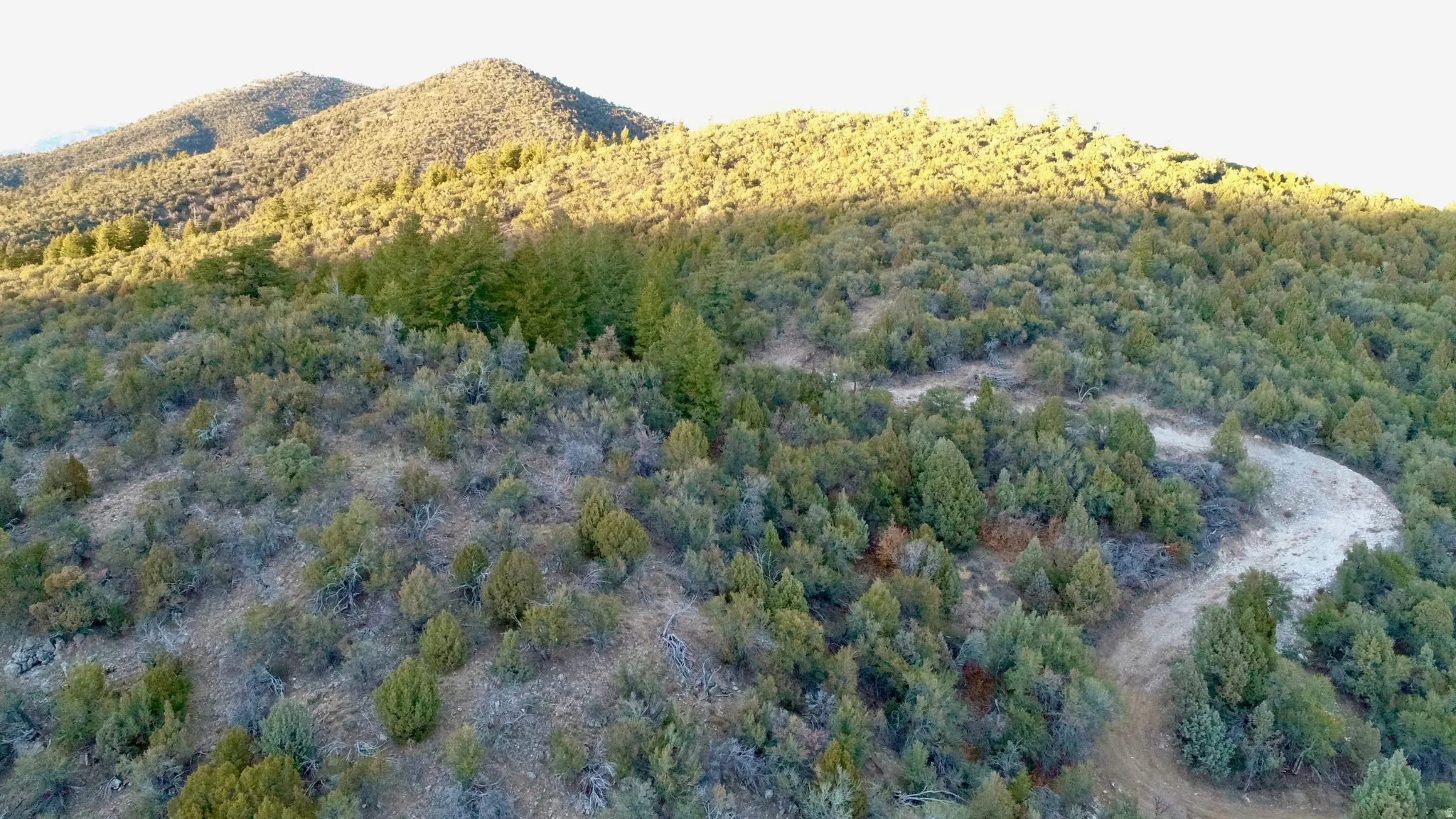 View of mountain background with a heavily wooded area