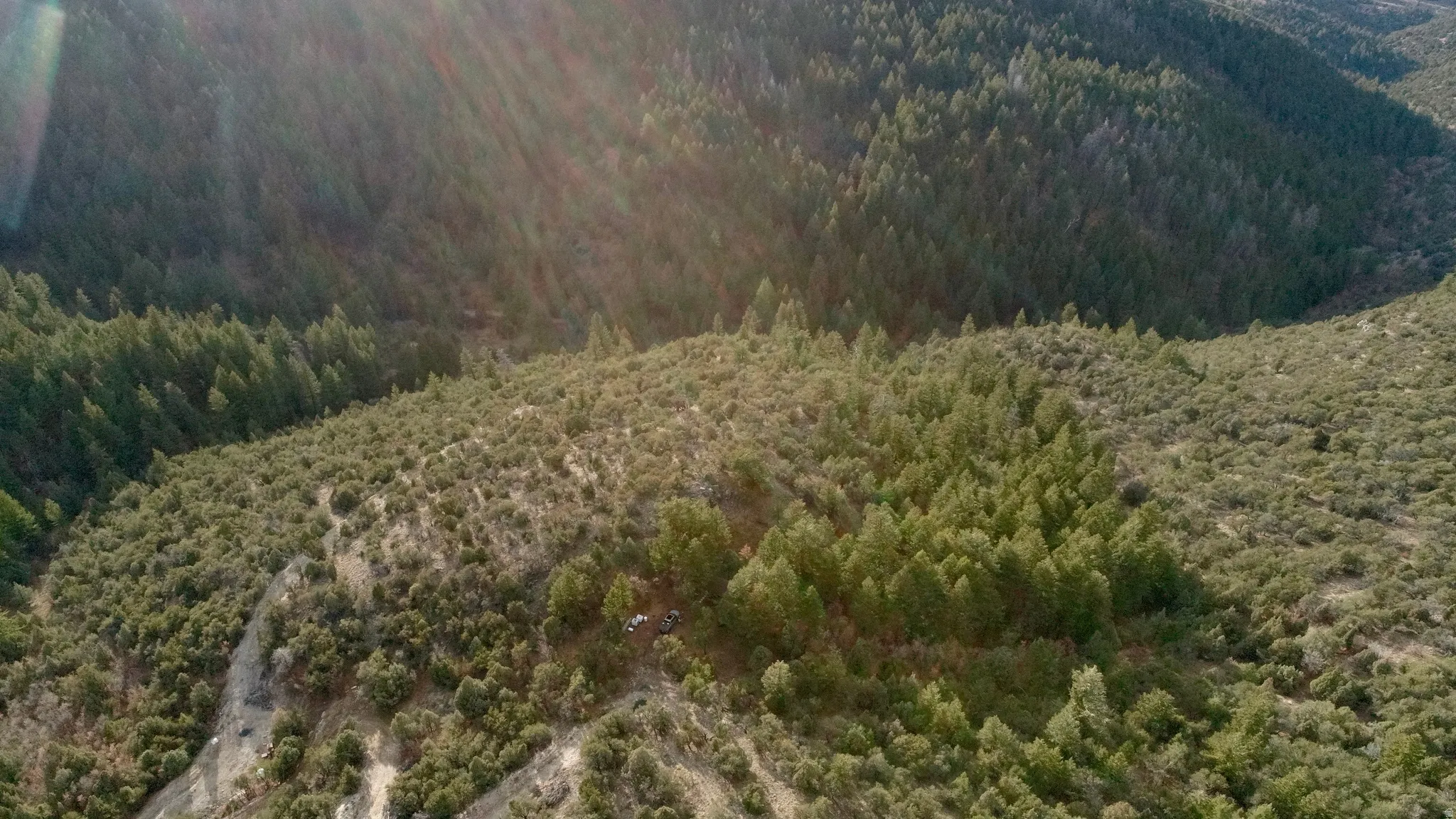 View of mountain background with a forest
