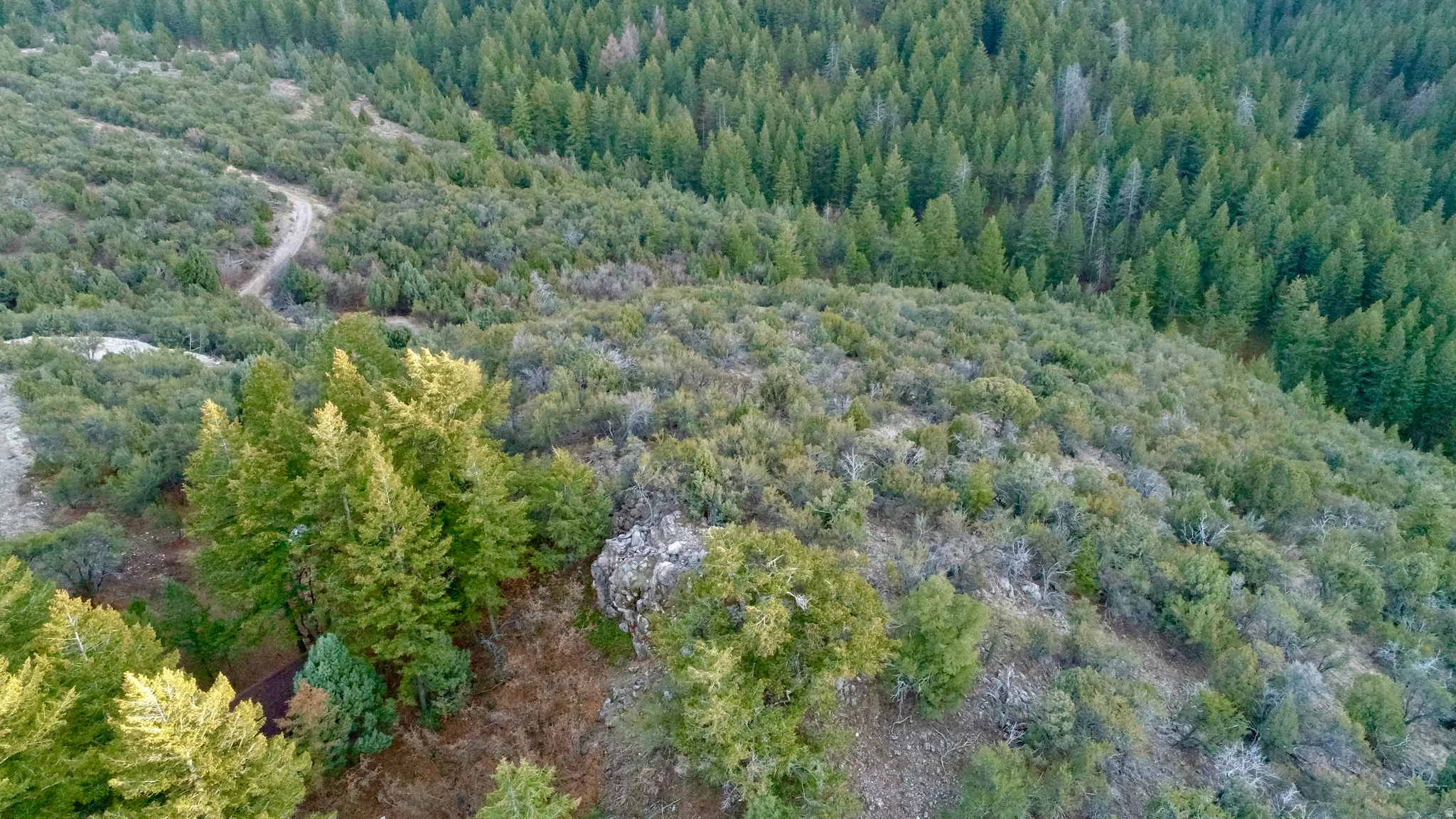 Aerial view of property and surrounding area featuring a forest