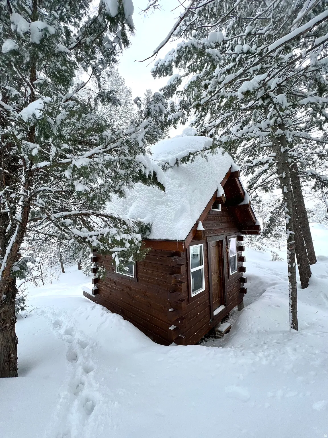View of snowy exterior featuring log siding