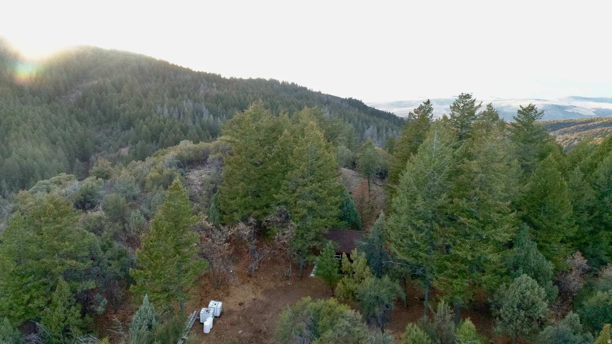 Bird's eye view of a mountainous background and a heavily wooded area