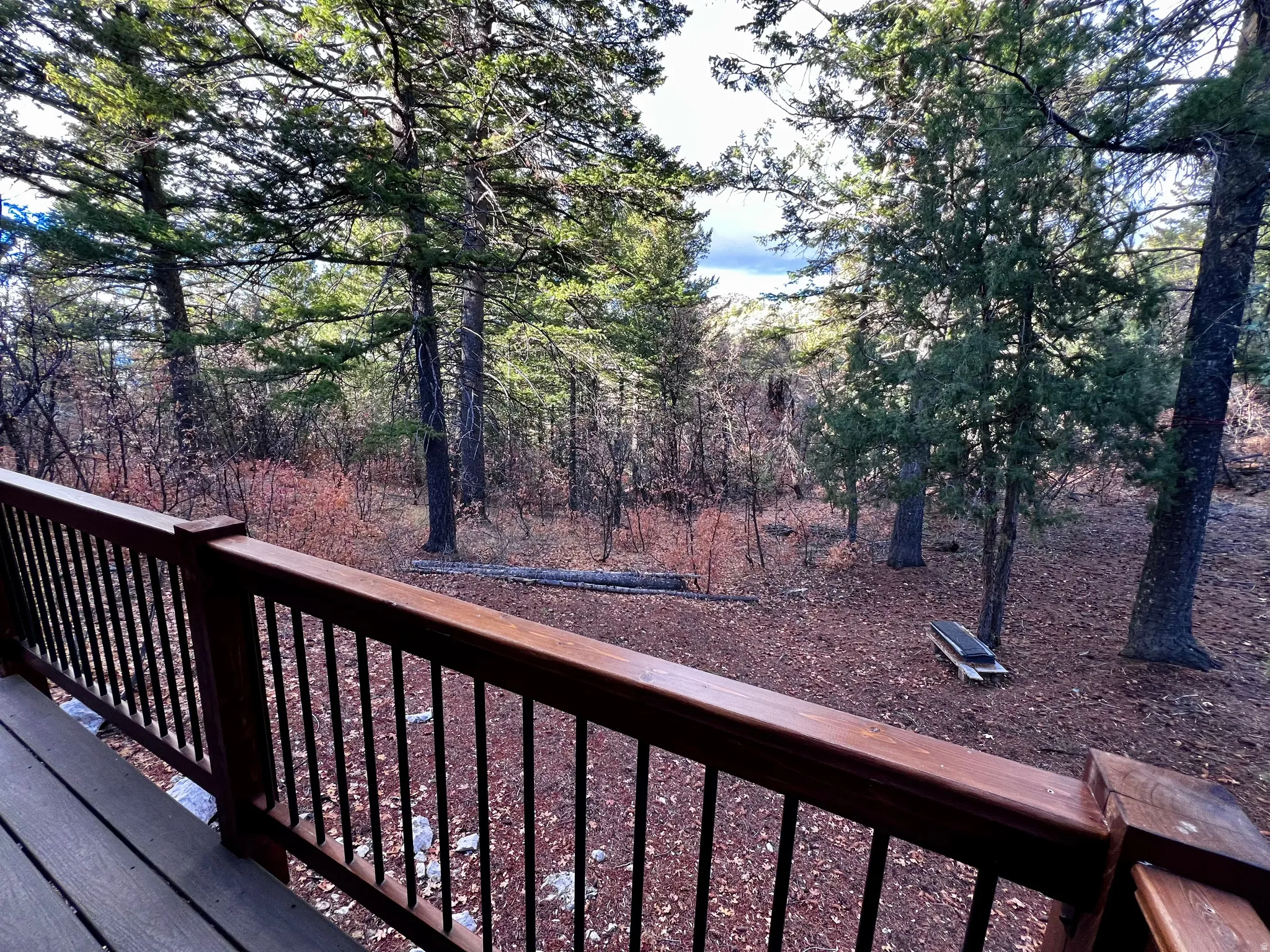 View of deck