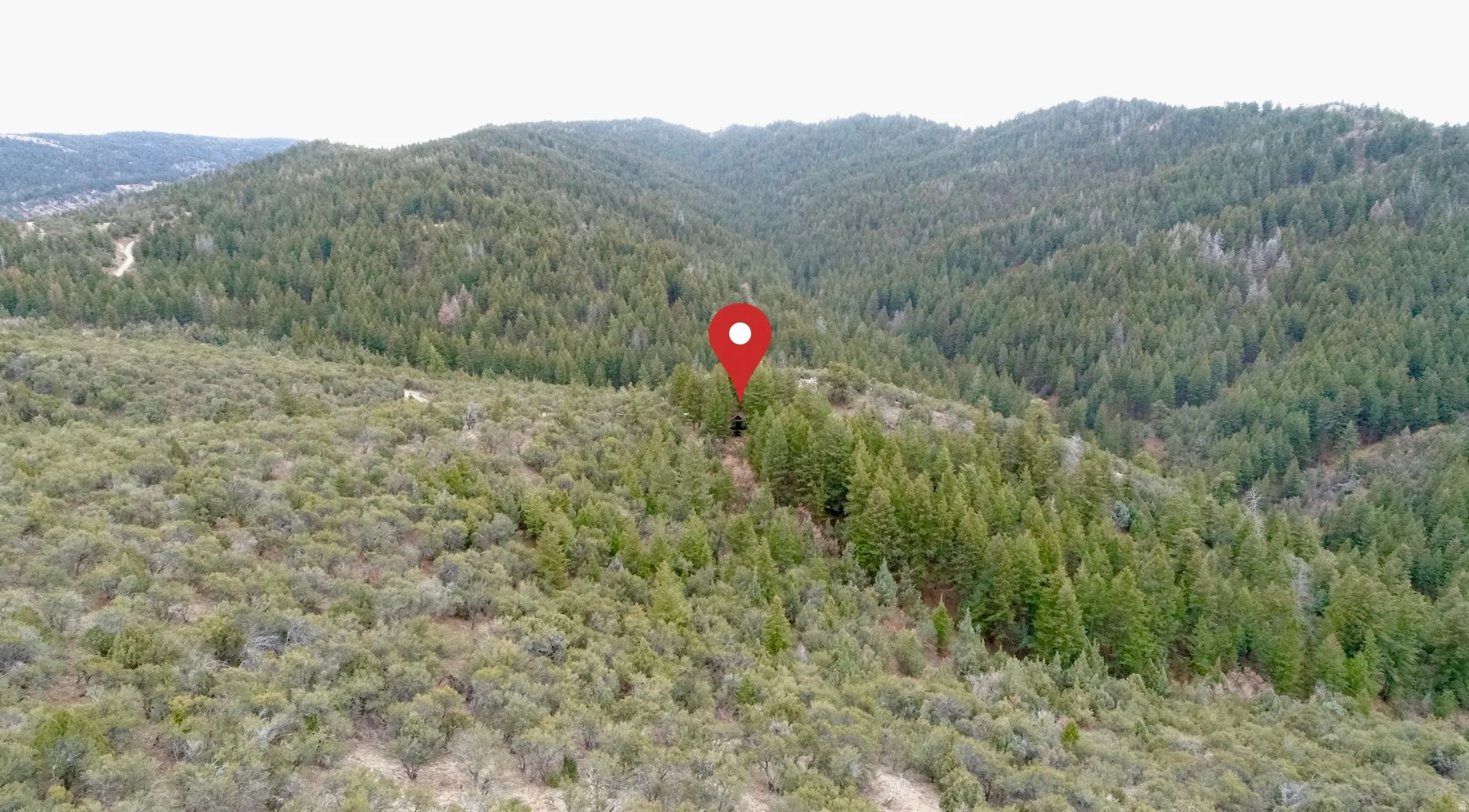 View of mountain background featuring a heavily wooded area