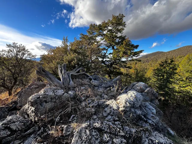 View of mountain backdrop featuring a heavily wooded area
