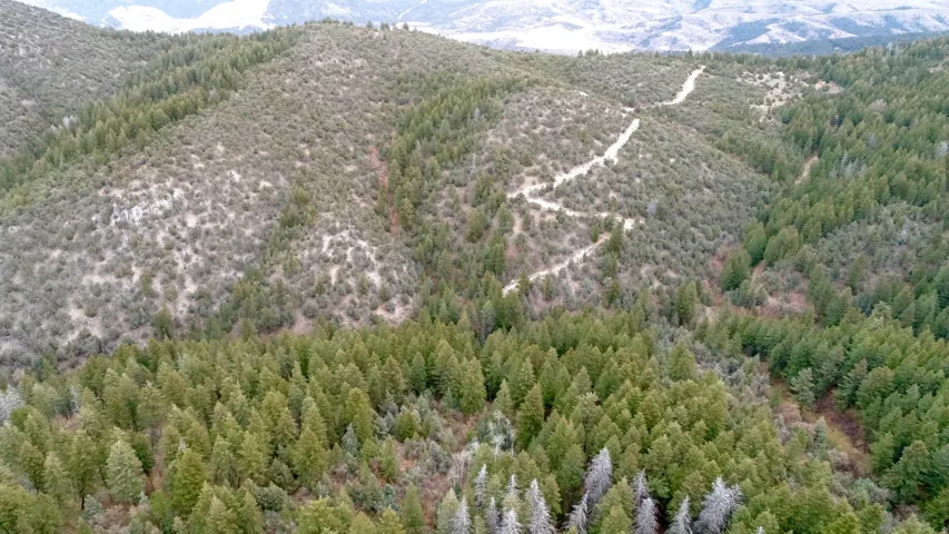 Mountain view featuring a heavily wooded area