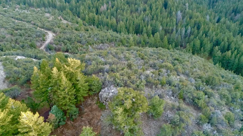 Aerial view of property and surrounding area featuring a forest