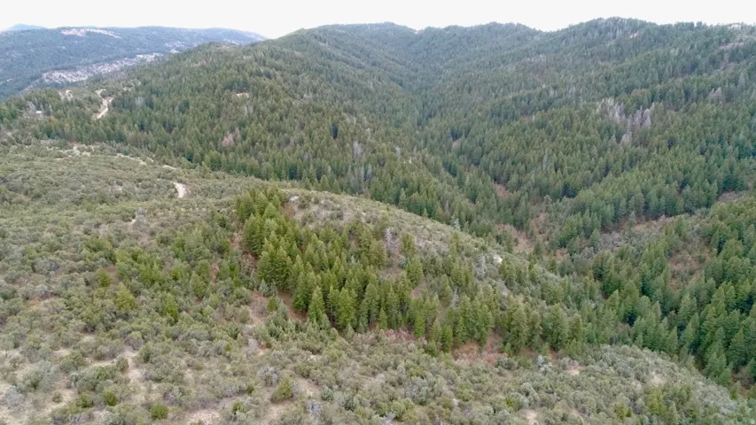Mountain view featuring a heavily wooded area