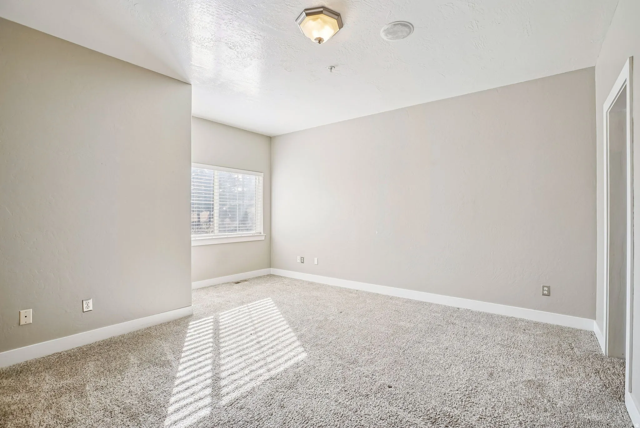 Primary room with carpet and a textured ceiling