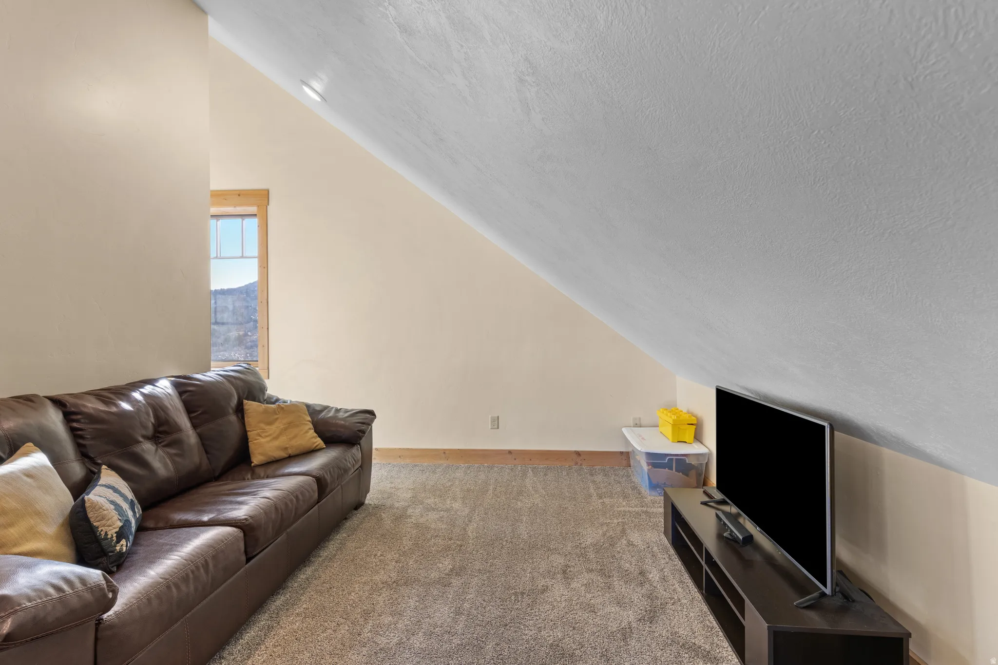 Carpeted living room featuring lofted ceiling and a textured ceiling