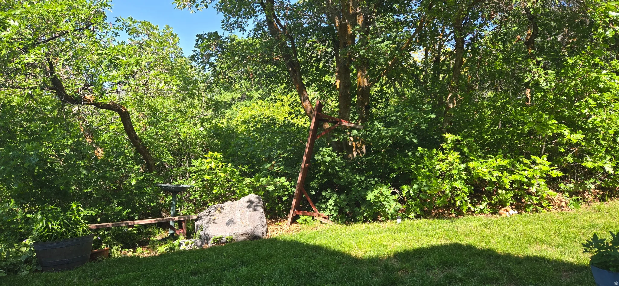 View of grassy yard