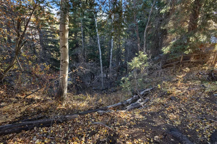 9128 N Timphaven Rd, Sundance, Utah 84604