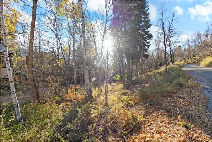 9128 N Timphaven Rd, Sundance, Utah 84604