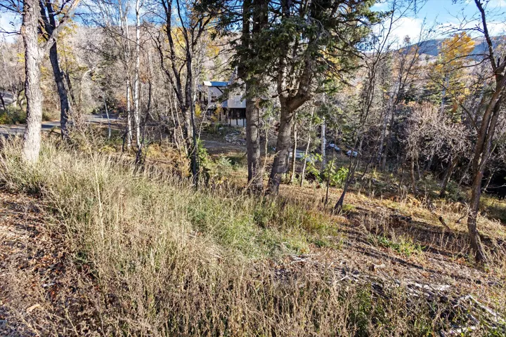 9128 N Timphaven Rd, Sundance, Utah 84604