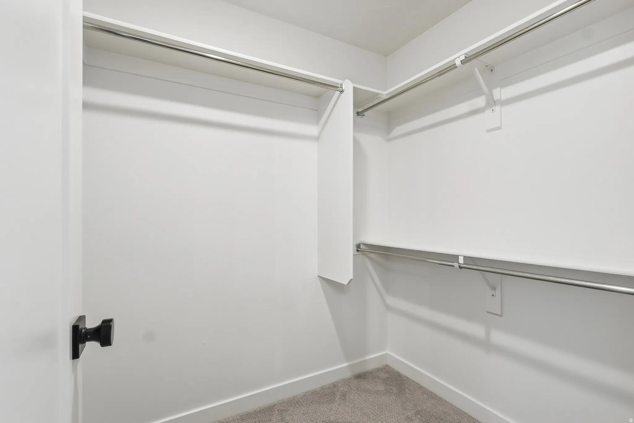 Walk in closet with light colored carpet