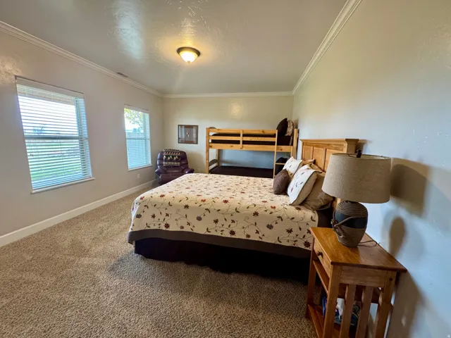 Bedroom with crown molding, carpet floors, and a textured ceiling