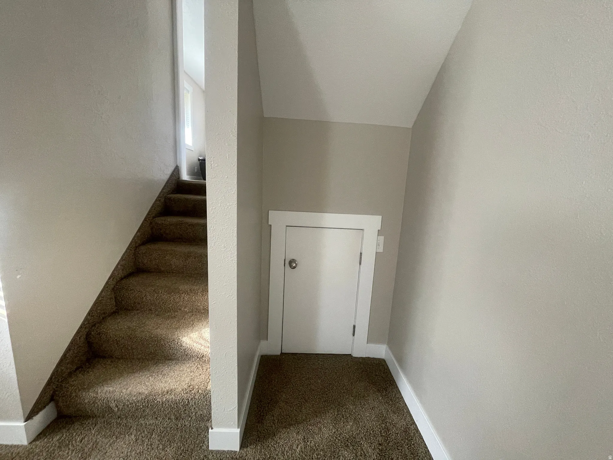 Staircase featuring carpet flooring and baseboards
