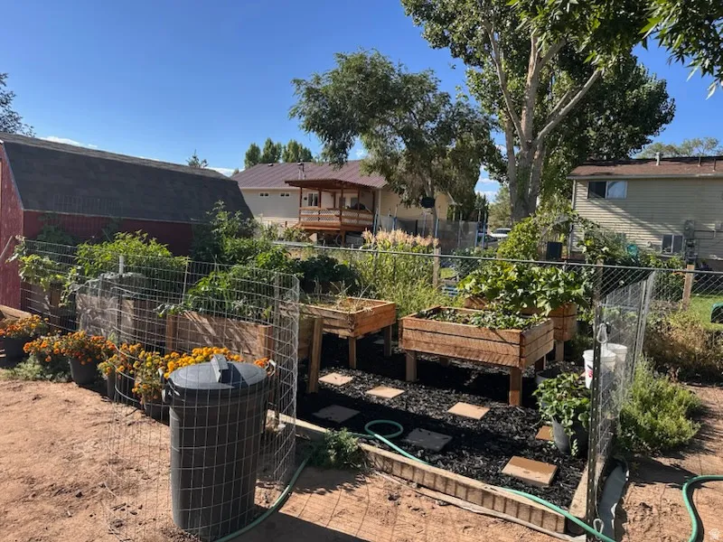 View of yard with a vegetable garden