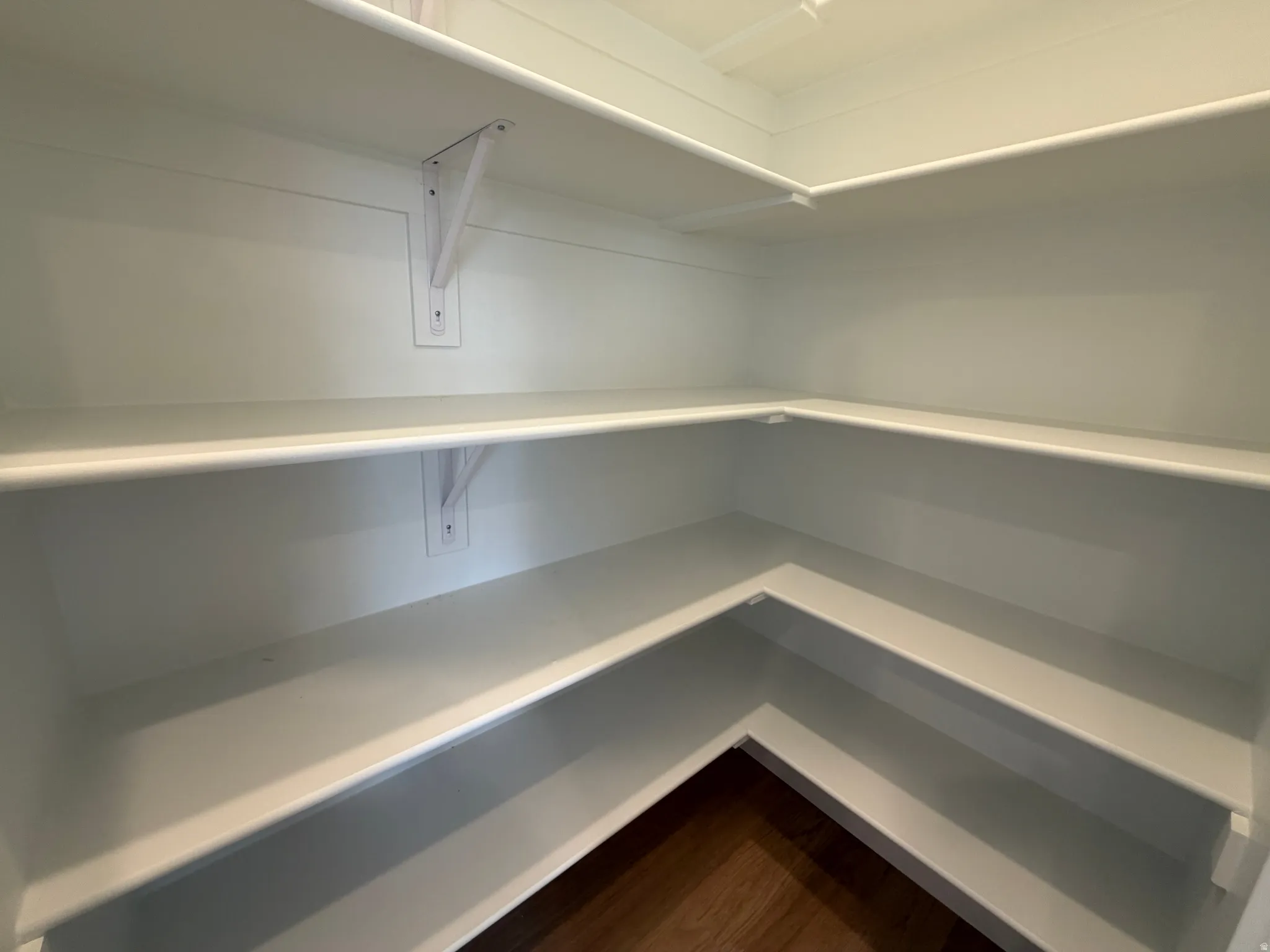Walk-in pantry with extensive wraparound shelving and wood-finish flooring