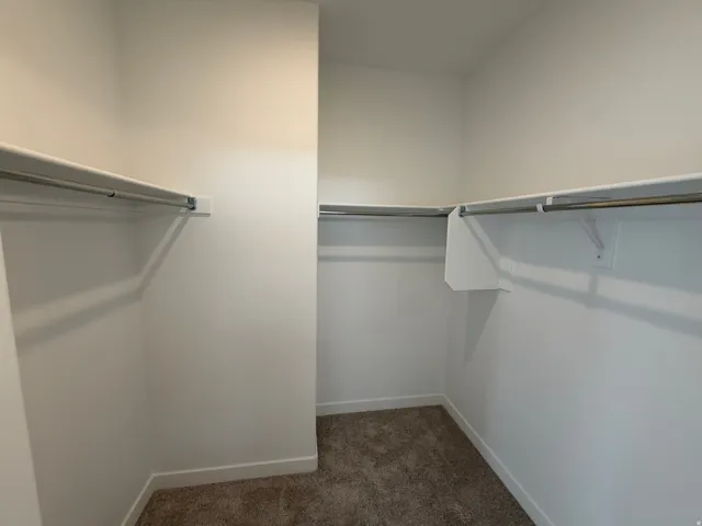 Walk-in closet with carpet flooring, white walls, and built-in shelving with hanging rods