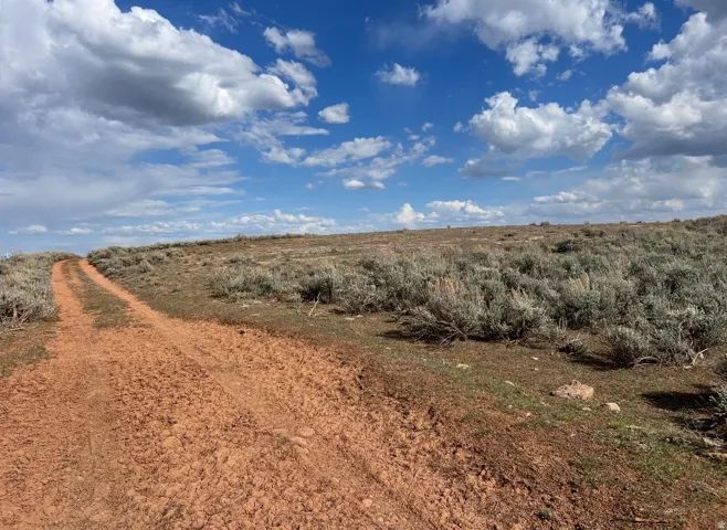 View of local wilderness with rural landscape