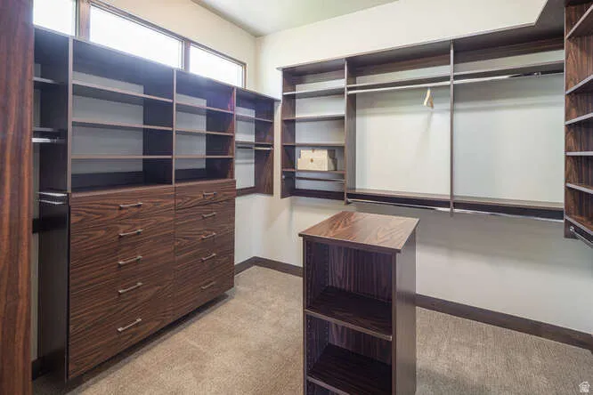 Walk in closet with light colored carpet