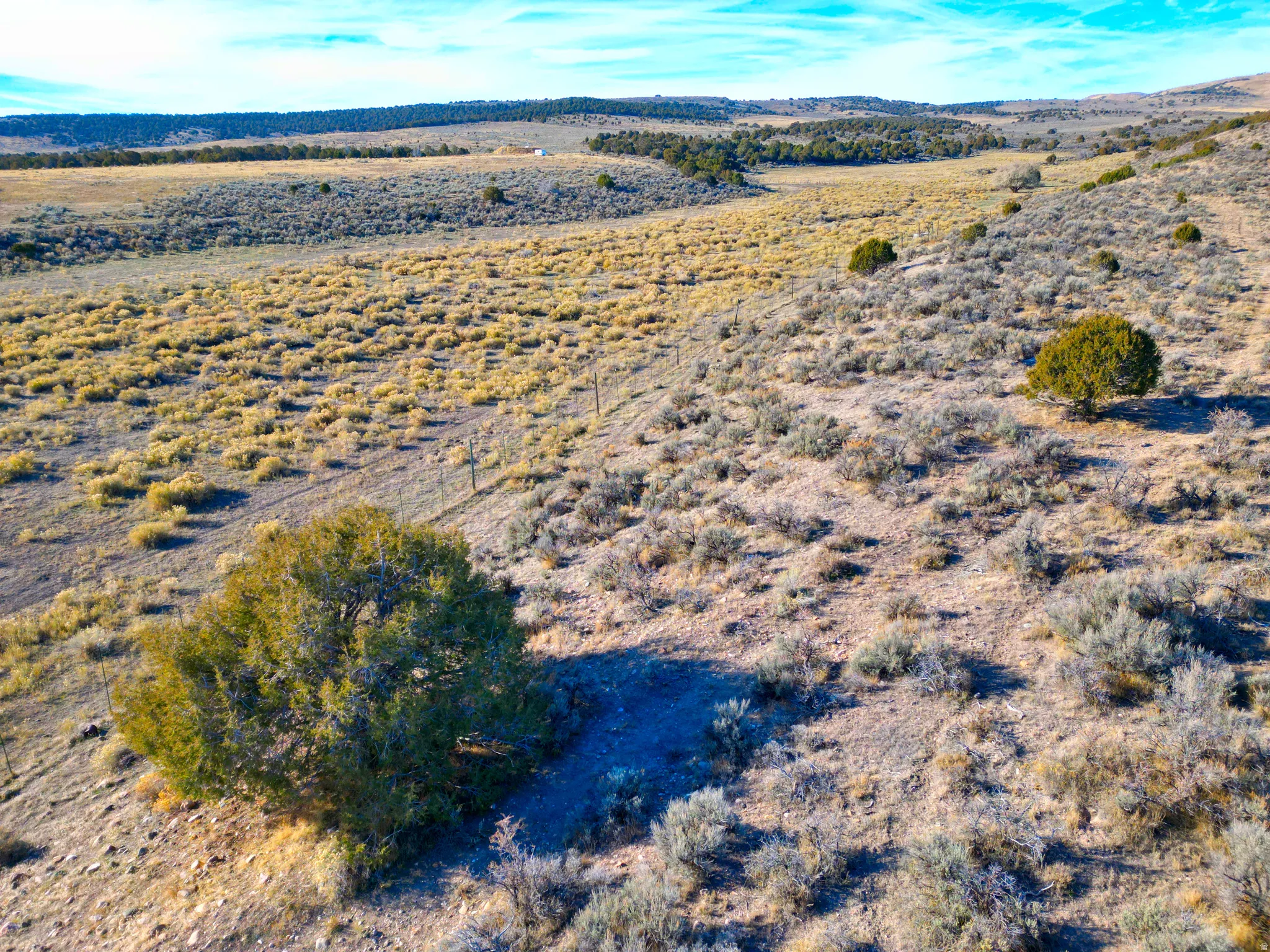 View of rural area
