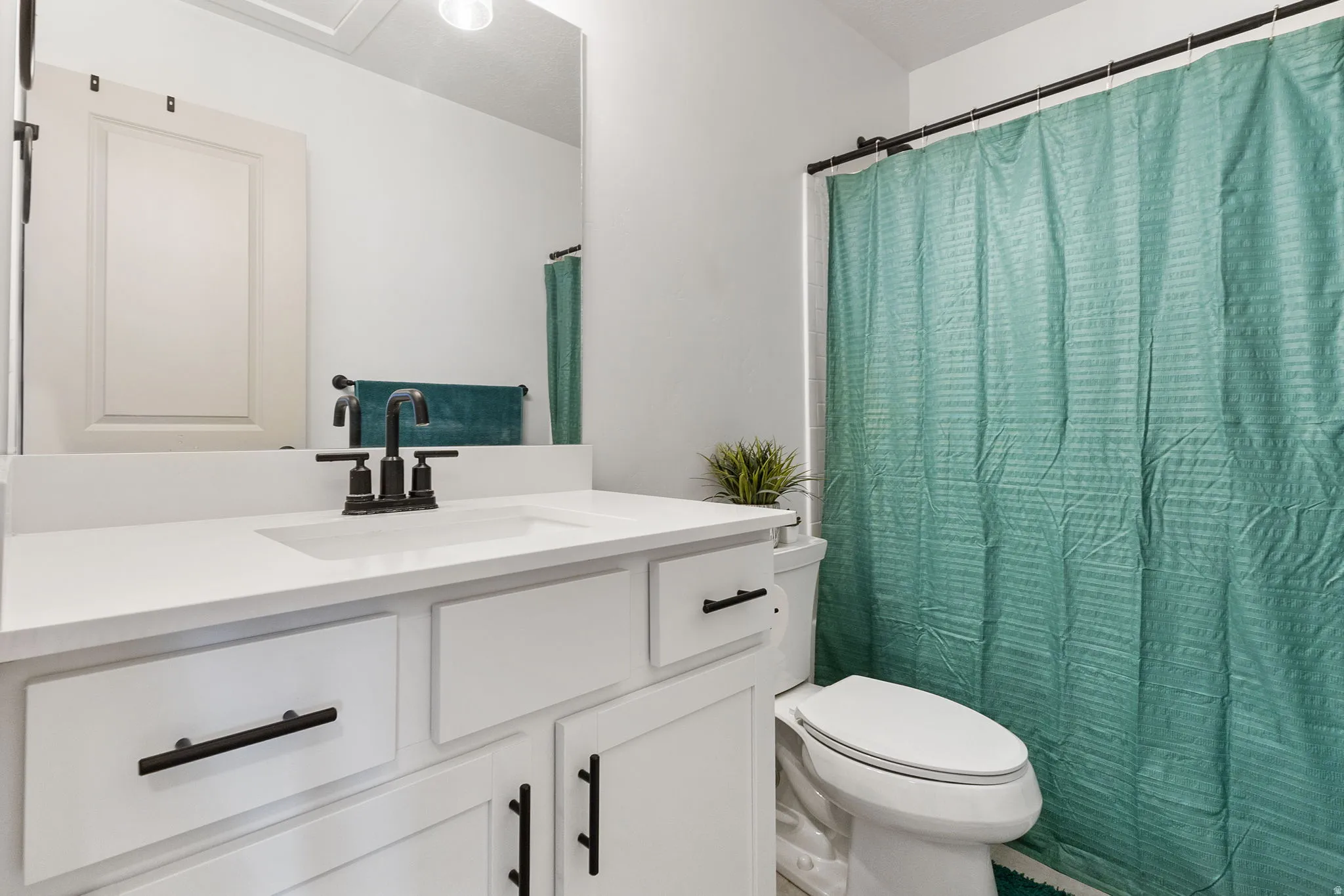 Bathroom with vanity and a shower with curtain