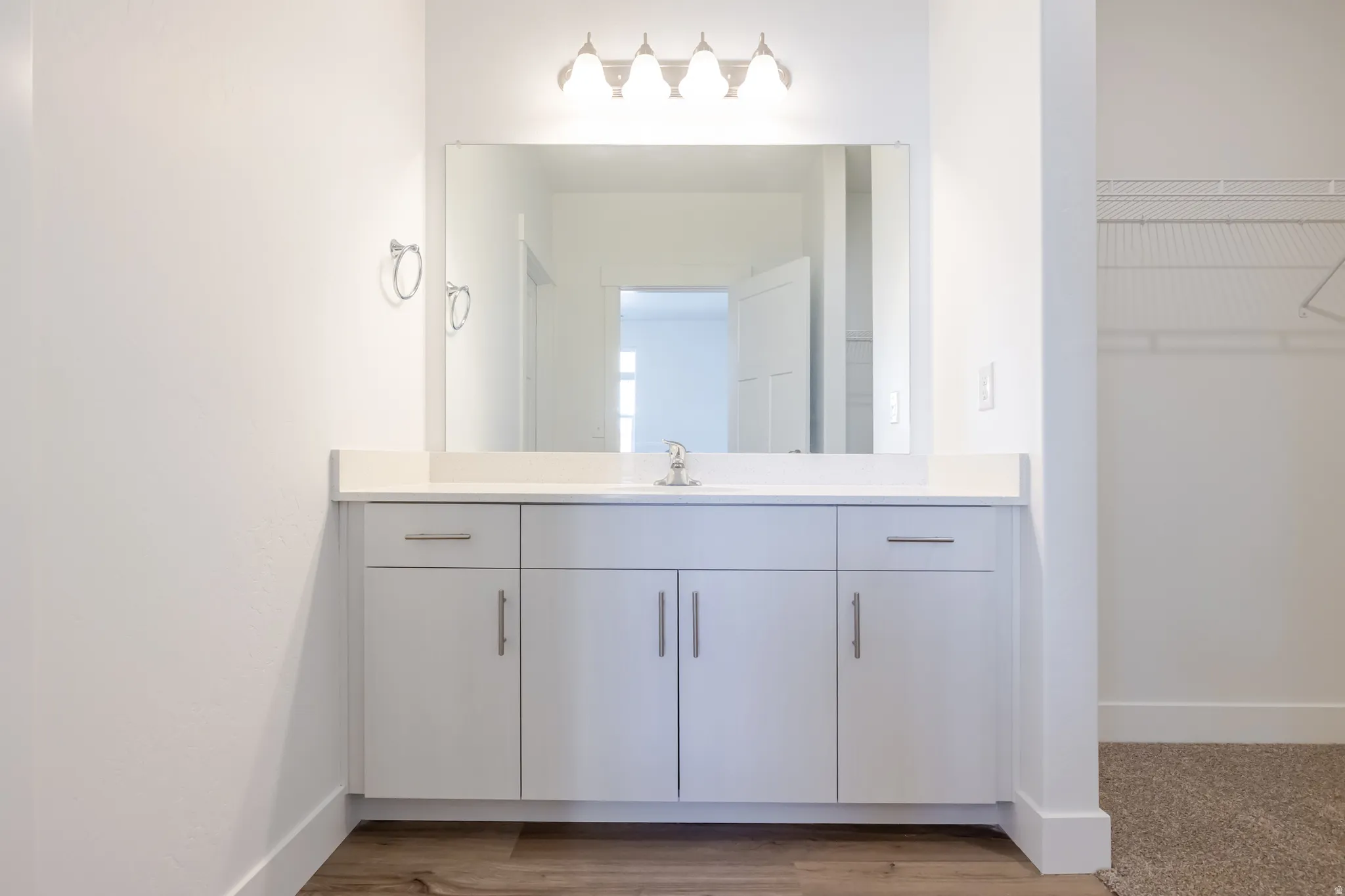 Bathroom featuring vanity, a walk in closet, and light wood-type flooring