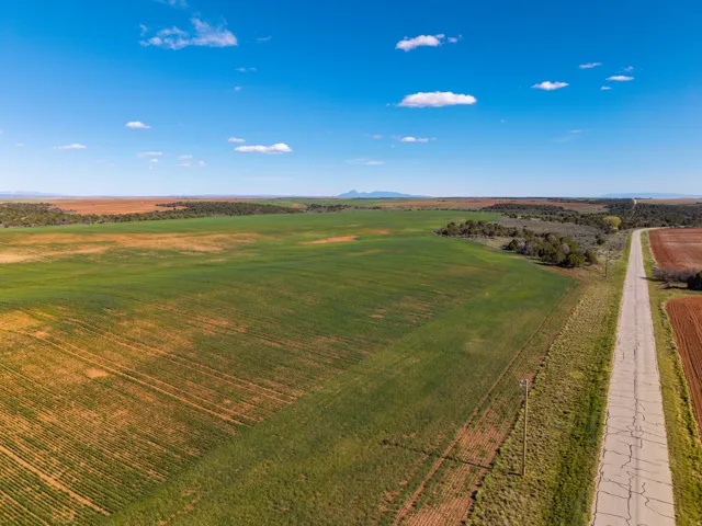 Expansive agricultural land featuring a paved road bordering cultivated fields, a mix of green crops and reddish-brown soil, and distant mountain ranges under a clear sky