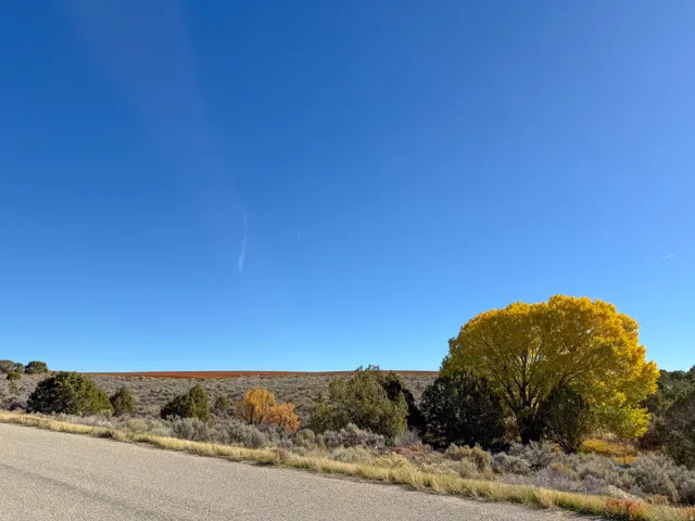 View of asphalt road