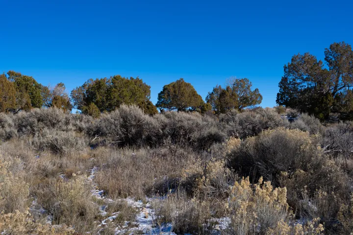 View of undeveloped land