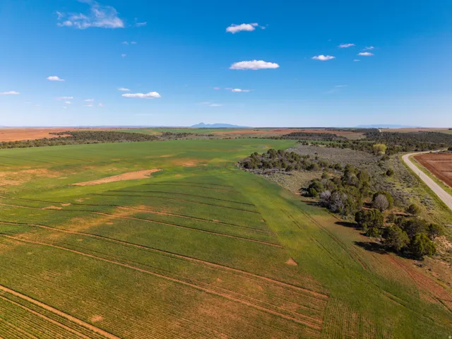 Expansive agricultural landscape featuring cultivated fields and natural vegetation