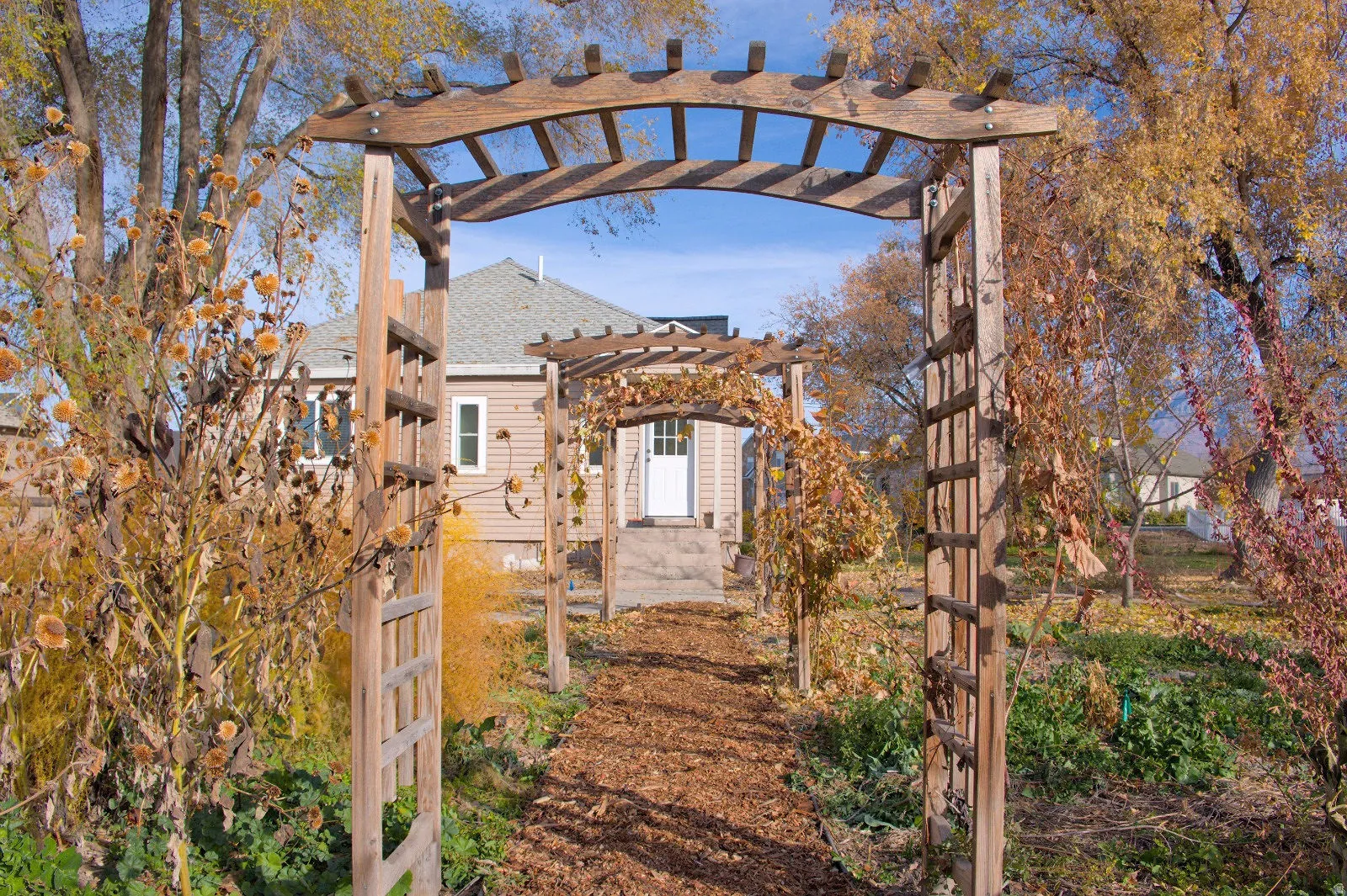 View of yard featuring a pergola
