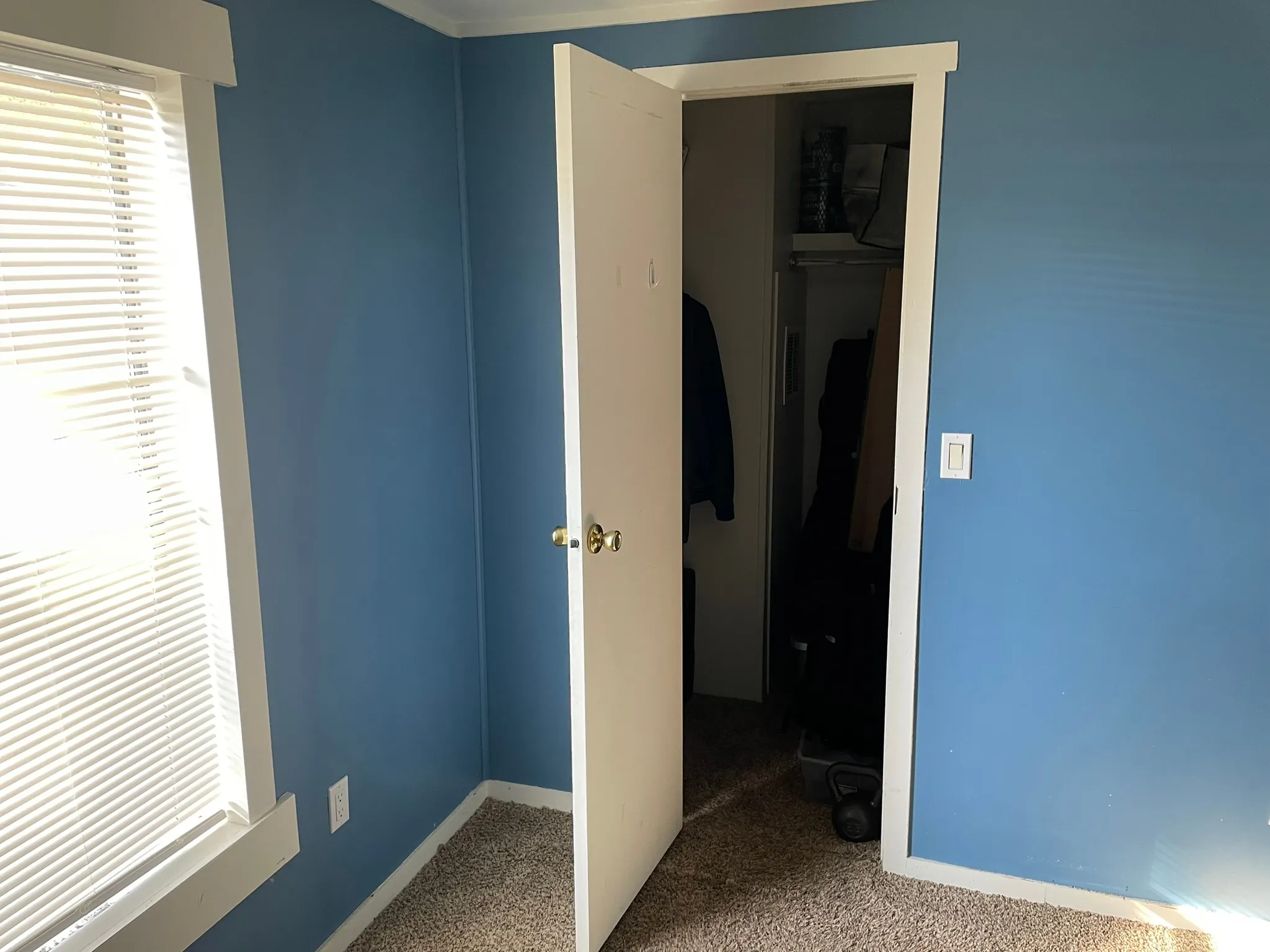 Unfurnished bedroom featuring carpet and a spacious closet