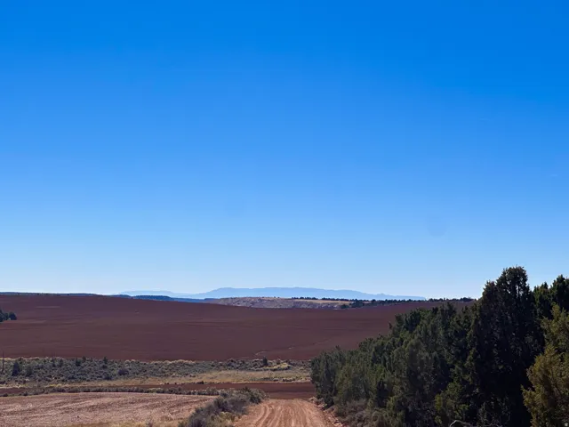 north side of property facing south