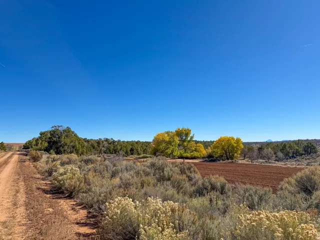 north side of property facing east