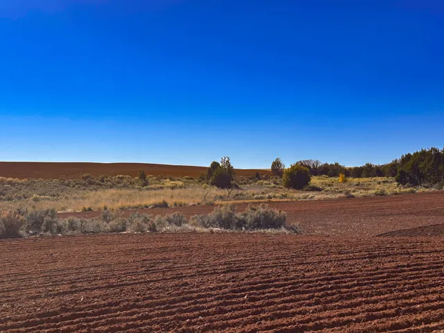 north side of property facing south