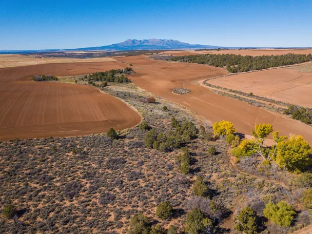 northeastern side of property facing west
