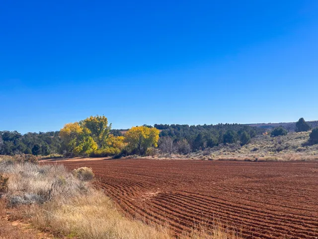 north side of property facing east