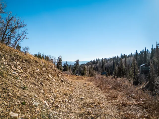 View of woods