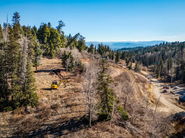 Mountain view with a heavily wooded area