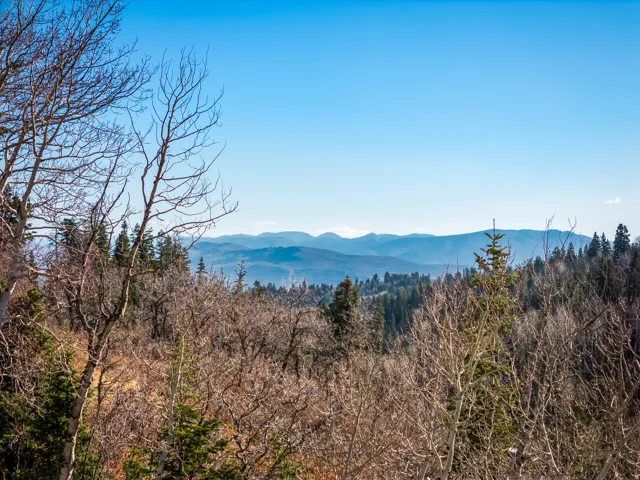 View of mountain background with a forest