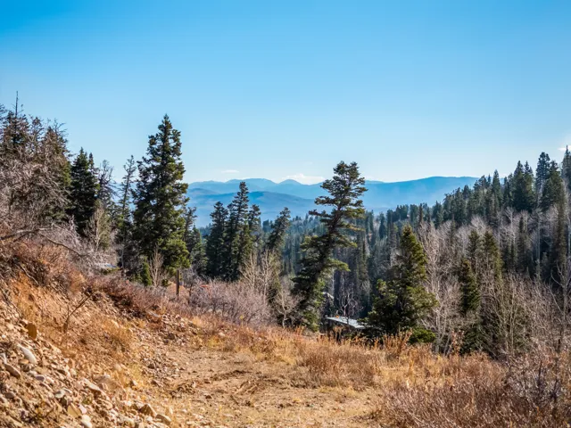 View of mountain backdrop featuring a forest