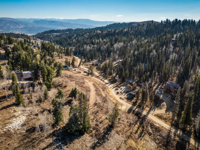 Aerial overview of property's location with a mountainous background and a heavily wooded area