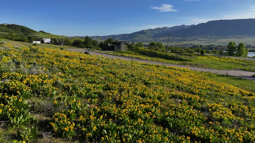1172 N Valley Dr, Eden, Utah 84310