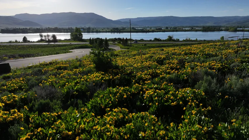 1172 N Valley Dr, Eden, Utah 84310