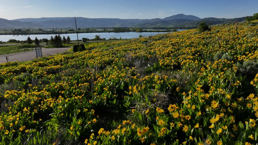 1172 N Valley Dr, Eden, Utah 84310