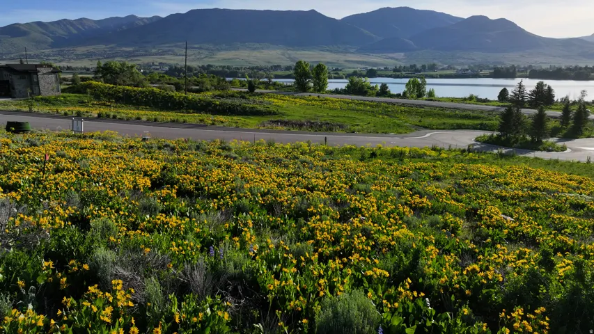 1172 N Valley Dr, Eden, Utah 84310