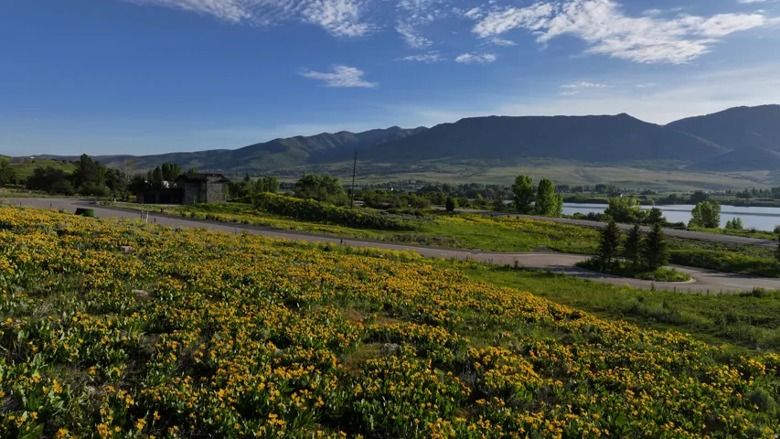 1172 N Valley Dr, Eden, Utah 84310